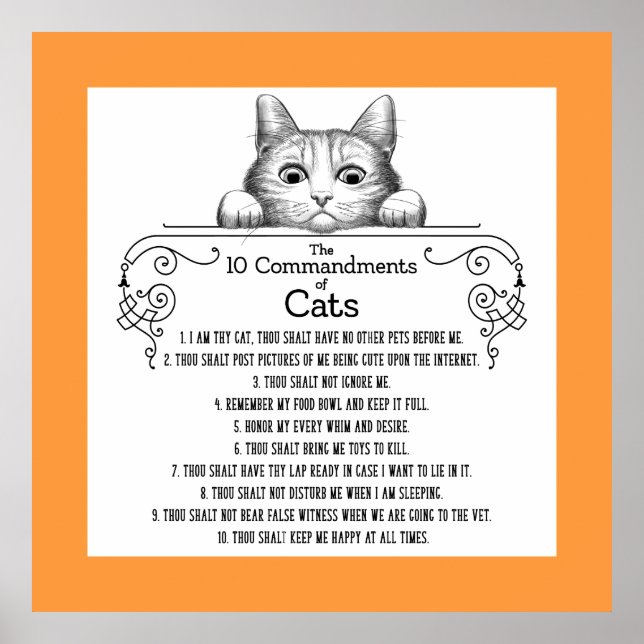 Affiche Les 10 commandements de chats amusants (Devant)