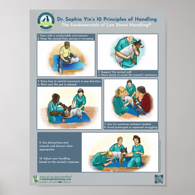 Affiche Les 10 principes de la manipulation des chiens du  (Devant)