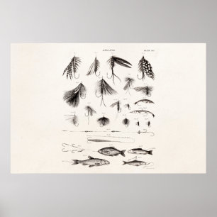 Affiche Les 1800s vintages pêchant la pêche de mouche