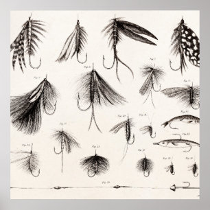 Affiche Les 1800s vintages pêchant la pêche de mouche