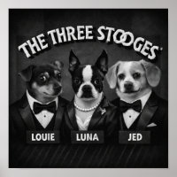 "Les 2 Dooges"