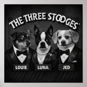 Affiche "Les 2 Dooges"