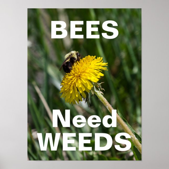 Affiche Les abeilles ont besoin de mauvaises herbes (Devant)