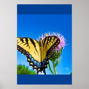 Affiche Les ailes de l'amour