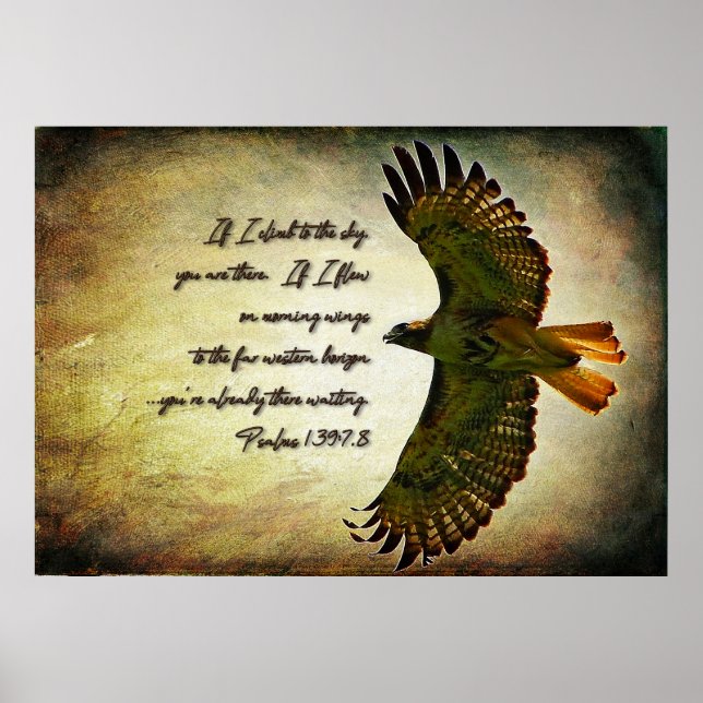 Affiche Les ailes de l'inspiration matinale (Devant)