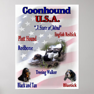 Affiche Les Amateurs de Coonhound