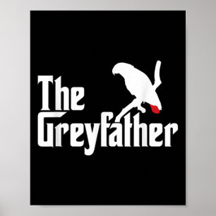 Affiche Les amateurs de perroquets gris-africains grises B