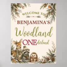Les amis de la forêt Woodland ONEderland Premier A