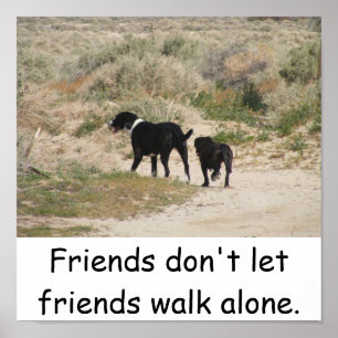 Affiche Les amis ne laissent pas leurs amis marcher seuls