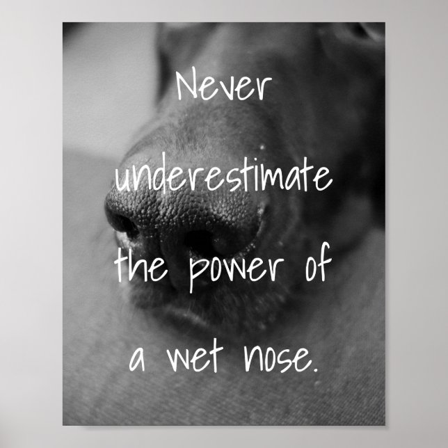 Affiche Les amoureux de les chiens citent la puissance d'u (Devant)