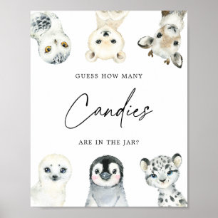 Affiche Les animaux de l'Arctique devinent combien de bonb
