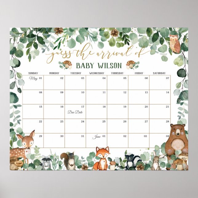 Affiche Les animaux des bois Guess Baby's Arrival Birth Ga (Devant)