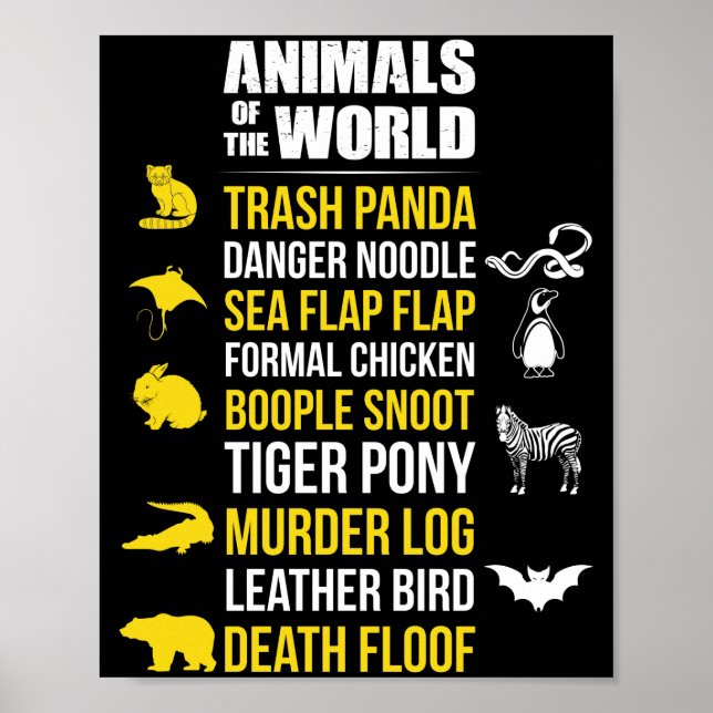 Affiche Les Animaux Du Monde Déchets Panda Danger Noodle (Devant)