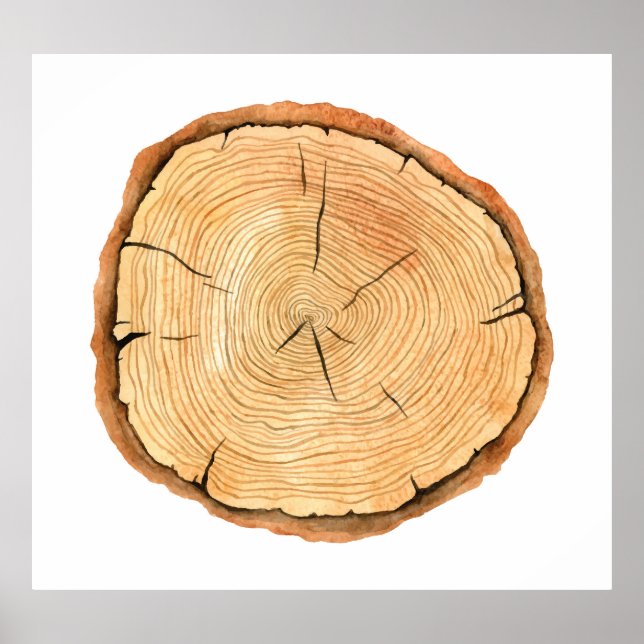 Affiche Les anneaux de la nature : Triomphe de la texture  (Devant)