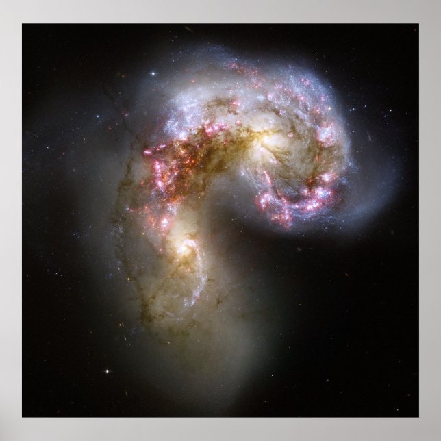 Affiche Les Antennes Galaxies-NGC 4038-4039 (Devant)