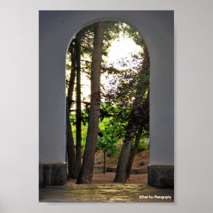 Affiche Les arbres à travers l'arche
