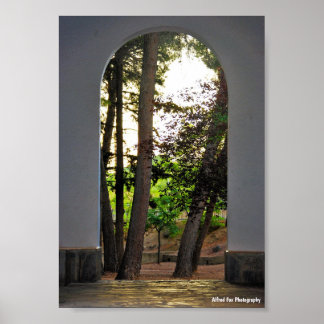 Affiche Les arbres à travers l'arche