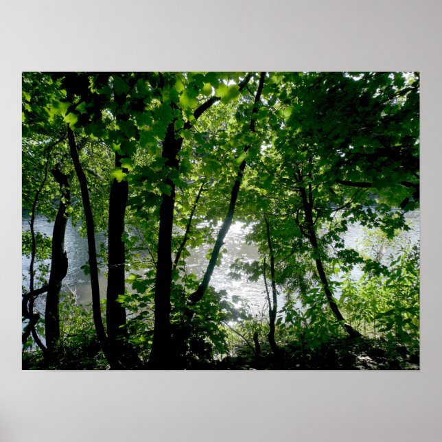 Affiche Les arbres au bord de la rivière (Devant)
