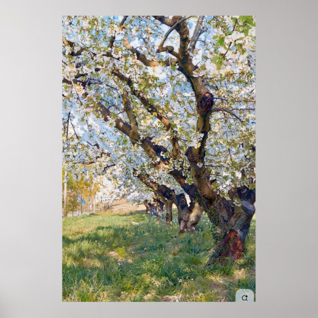 Affiche Les arbres d'abricotiers en fleurs de Van Gogh (Devant)