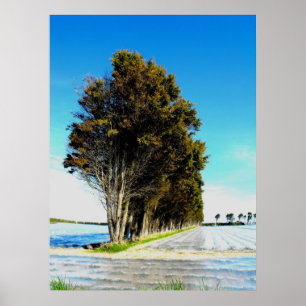 Affiche Les arbres dans un paysage de Jersey