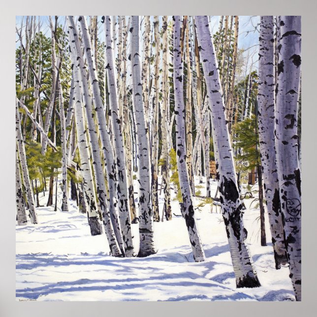 Affiche Les arbres d'Aspen dans la forêt (Devant)