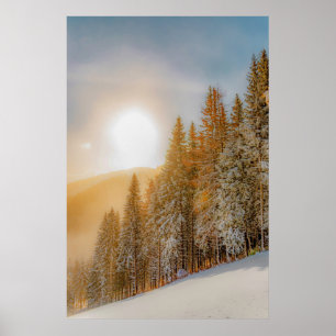 Affiche Les arbres forestiers d'hiver #17