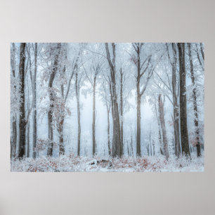 Affiche Les arbres forestiers d'hiver #21