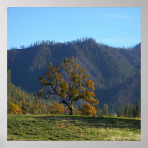 Affiche Les arbres m'appellent.....