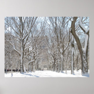 Affiche Les arbres neigeux à Central Park