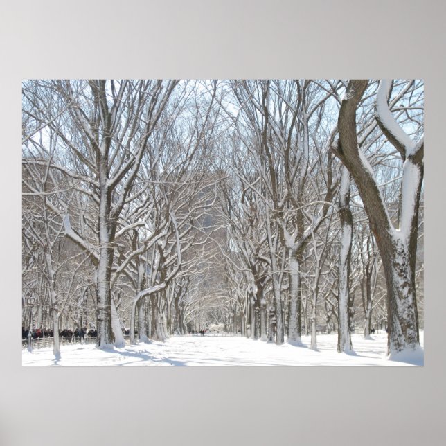 Affiche Les arbres neigeux à Central Park (Devant)
