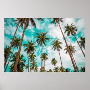 Affiche Les arbres tropicaux
