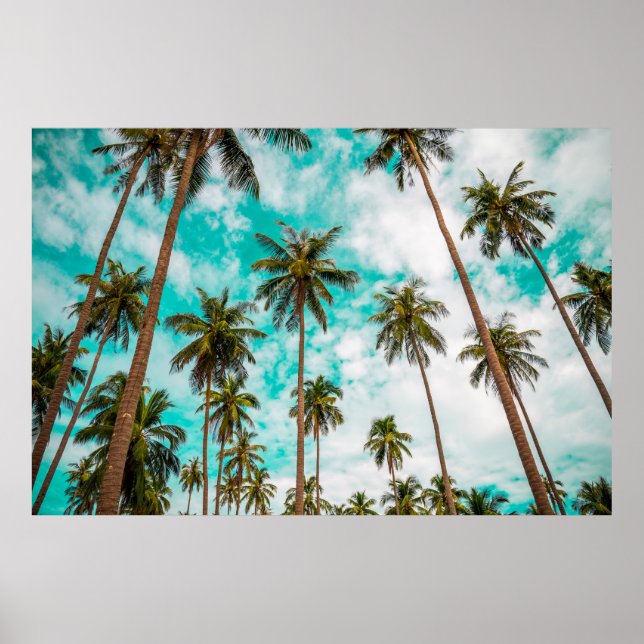 Affiche Les arbres tropicaux (Devant)