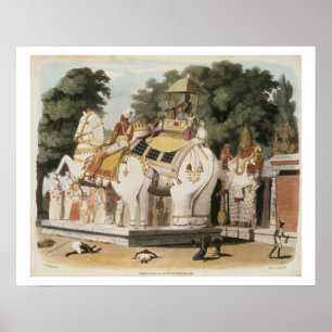 Affiche Les autochtones rendent hommage à leur dirigeant,