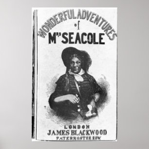 Affiche Les aventures merveilleuses de Mme Seacole'