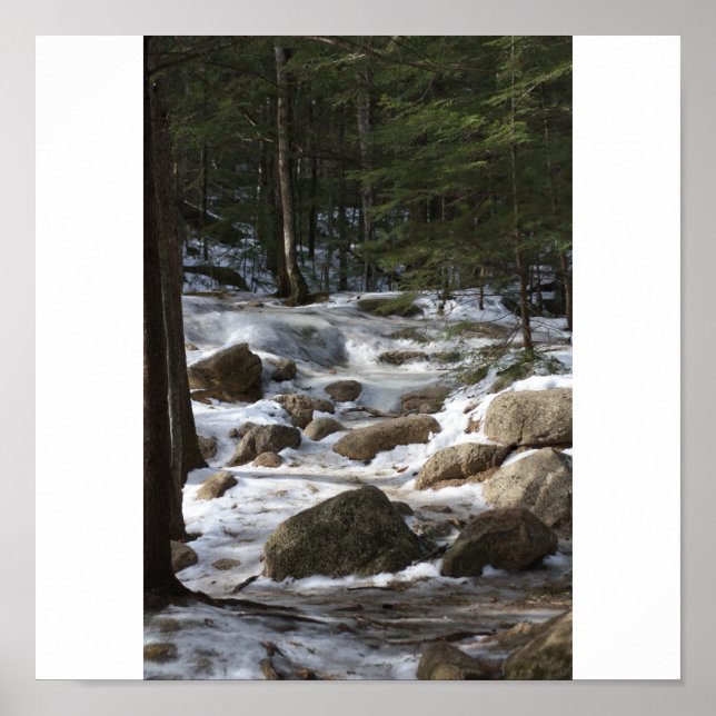 Affiche Les bains de Diana (Devant)