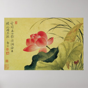 Affiche Les Beaux Arts Chinois Fleurs Lotus