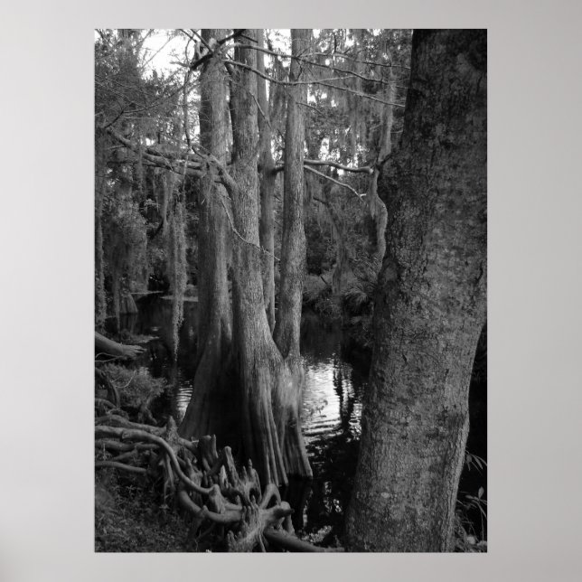 Affiche Les Bois (Devant)