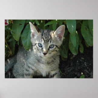 Affiche Les cerfs-volants sont mignons