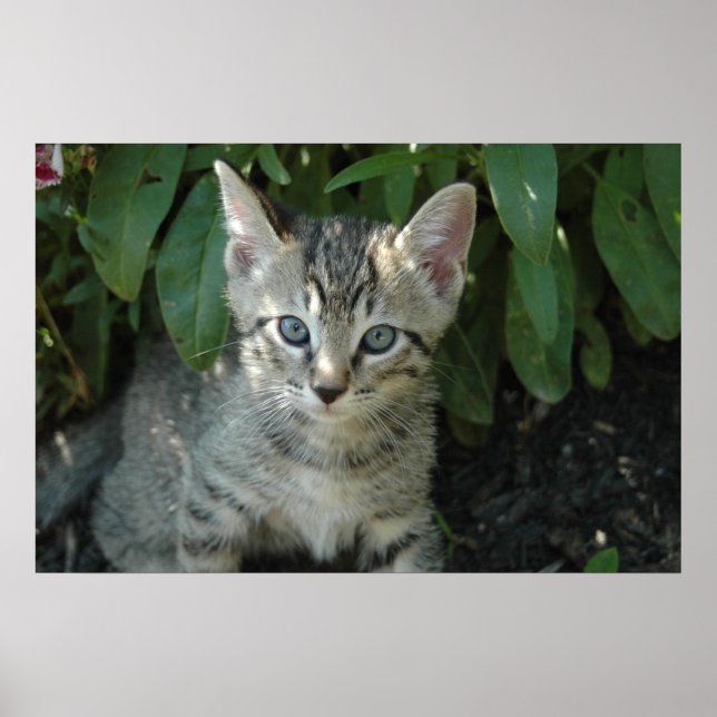 Affiche Les cerfs-volants sont mignons (Devant)