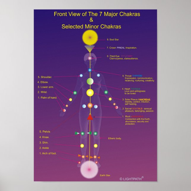 Affiche Les chakras majeurs et mineurs (Devant)
