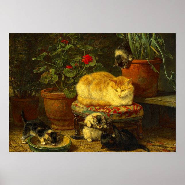 Affiche Les chatons en jeu (Devant)