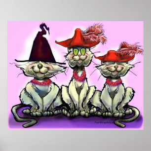 Affiche Les chats en Casquette amusant