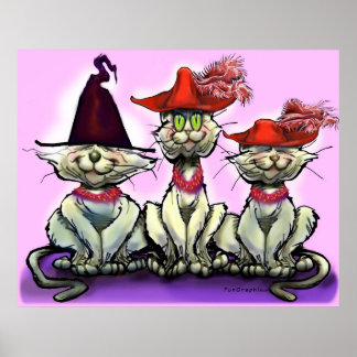 Affiche Les chats en Casquette amusant