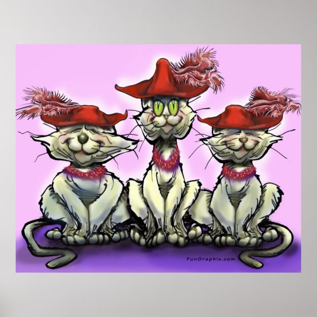 Affiche Les chats en Casquette amusant (Devant)