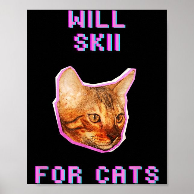 Affiche Les chats feront du ski, aventure drôle de neige d (Devant)