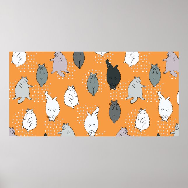 Affiche Les chats gras et moelleux sont allongés sur le do (Devant)