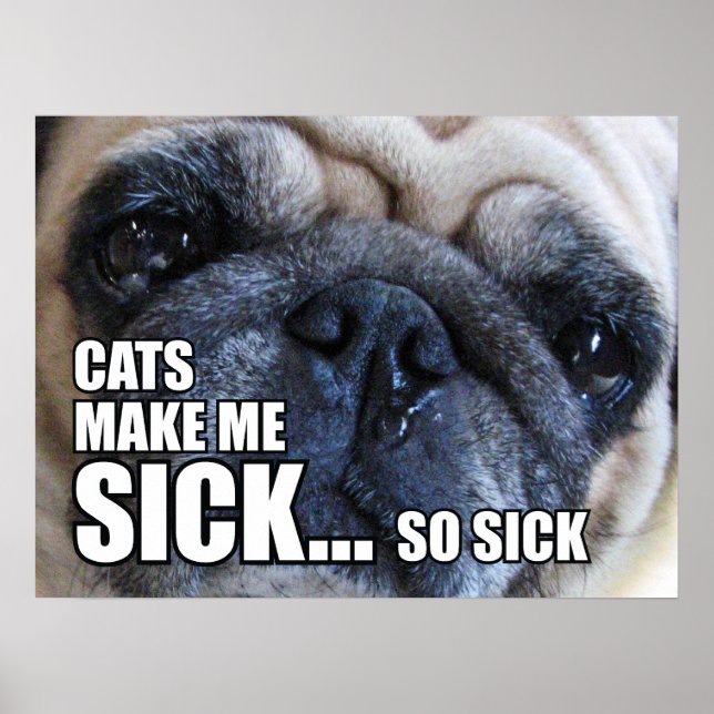 AFFICHE LES CHATS ME RENDENT MALADE... SI MALADE | ALLERGY (Devant)