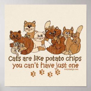 Affiche Les chats sont comme des chips