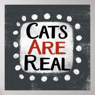 Affiche Les chats sont de véritables objets d'art