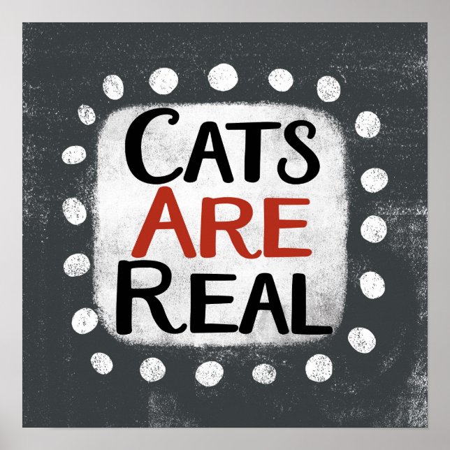 Affiche Les chats sont de véritables objets d'art (Devant)
